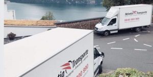 cheap removal Thalwil
